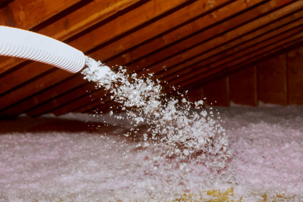 Best Batt and Roll Insulation  in Belterra, TX