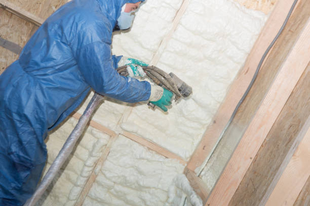 Best Spray Foam Insulation  in Belterra, TX